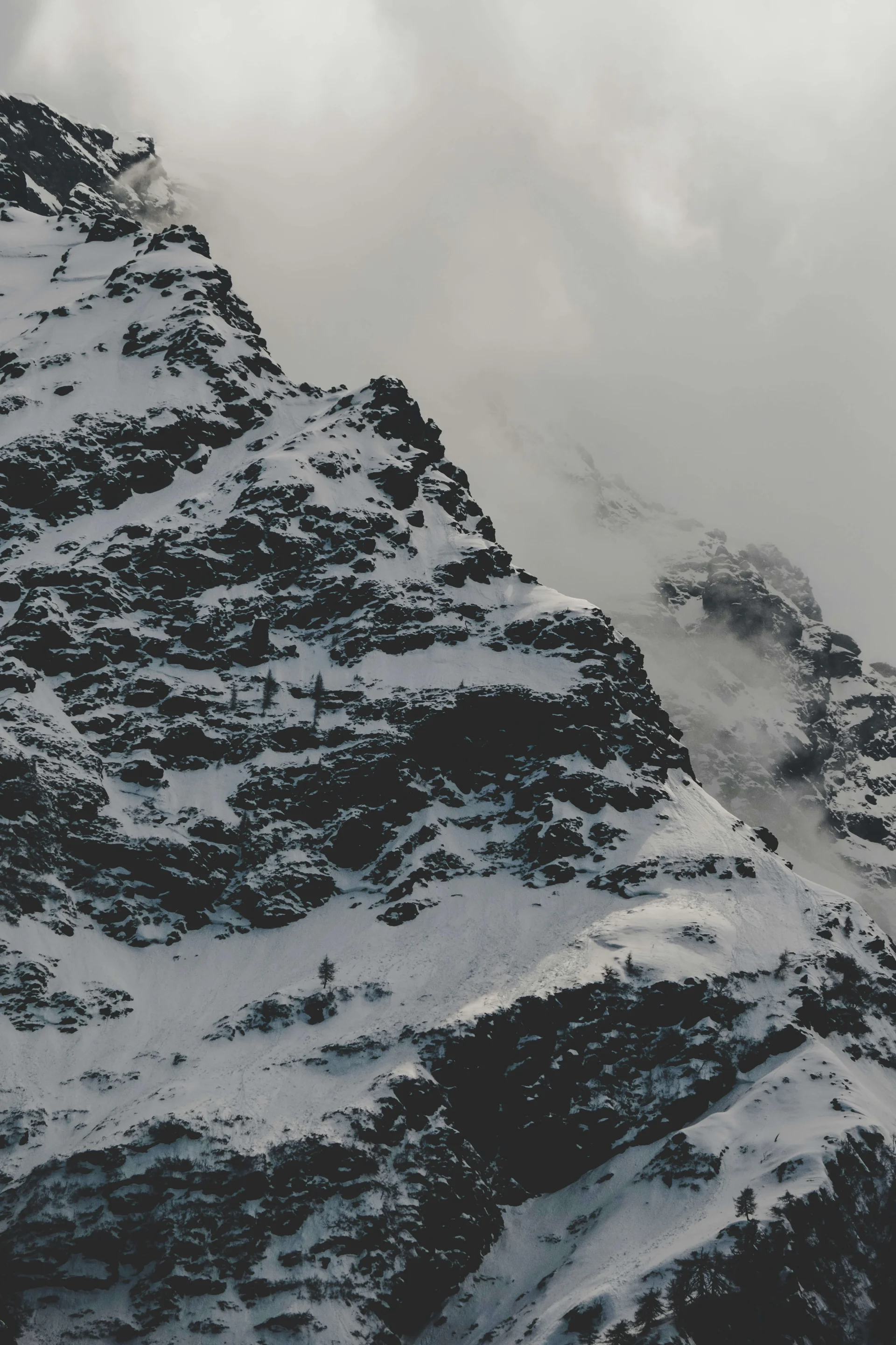6000M